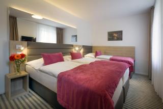 Hotel White Lion - Praga - 7