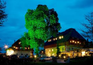 Hotel Zollner - Gödersdorf - 0