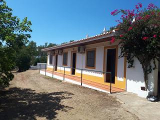 Palacete Dos Alcaides - Minas de São Domingos - 0