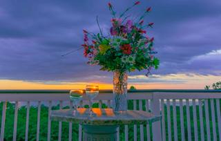 Weymouth Hall - Natchez - 1