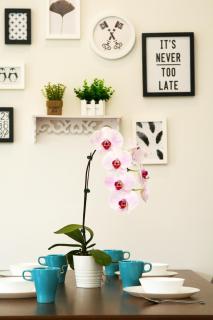 RELAX & COZY HOME @ MIDHILLS GENTING - Resorts World Genting - 3