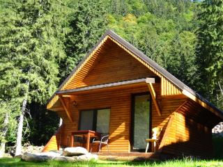 Complex Vila Balea - Cumpăna - 2