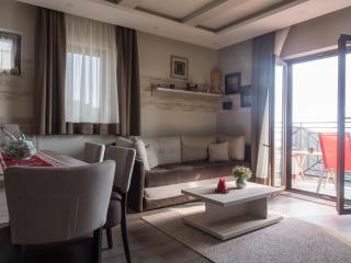 Fabulous Luxury Apartment G7 - Kopaonik - 0