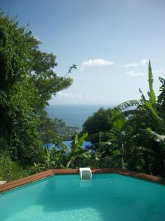mango tree lodge - Bouillante - 1