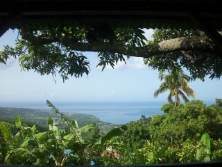 mango tree lodge - Bouillante - 0