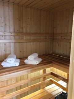 Family & Business Sauna Apartments Rynek Centrum Downtown - 2 Bedroom with Private Sauna, Balcony, Parking - Kielce - 9