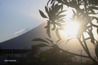 Dalum Homestay - Amed - 5