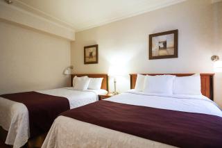 Hotel St-Denis - 2