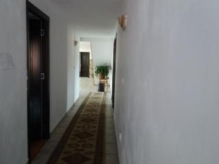 Vila Cretu Bran - Bran - 2