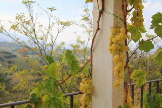 Pekko - Spello - 5