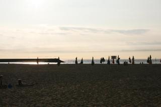 Studio en plein coeur de Trouville - Trouville-sur-Mer - 6