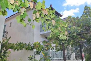 Pansion Prodromina - Città di Skopelos - 1