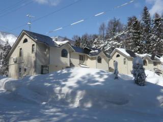 Hakuba Royal Suites - Hakuba - 0