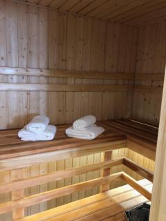 Family & Business Sauna Apartments No1 Leśny nad Zalewem Cedzyna Unikat - 3 Bedroom with Private Sauna, Bath with Hydromassage, Terrace, Garage, Catering Options - Kielce - 5