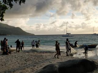 Georgina's Cottage - Mahe - 5