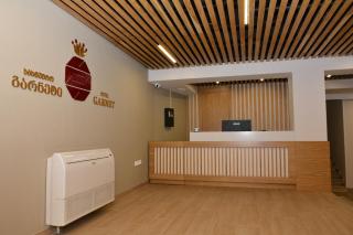 Hotel Garnet Tbilisi - Tbilisi - 6