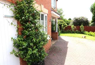 Harlequin B&B Ledbury - Ledbury - 6