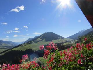Neuhauserhof - Kartitsch - 6