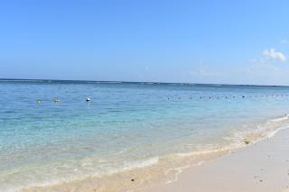 Sandy Shore - 6