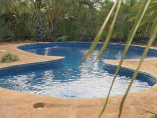 Bahati Diani House Glamping - Diani Beach - 4