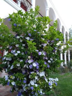 Hotel Portal del Santo - 7