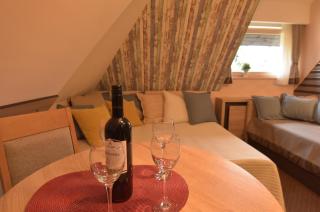 Apartment Sofia-Konaci - Kopaonik - 4