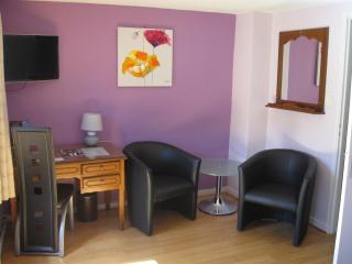Hotel Cheval De Bronze - Remiremont - 9