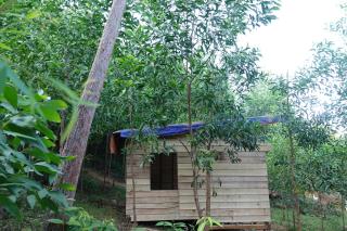 Nguyen Shack Retreat Resort - Phong Nha - 7