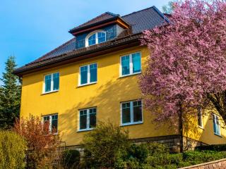 Apartment with sauna in Schönbrunn Thuringia - Schönbrunn - 0