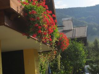 Hotel Alp Inn - Ruhpolding - 3