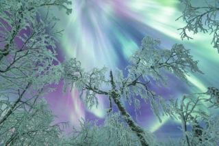 RovaVisit Apartments Siljo - 2