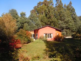 Whispering Spirit Holiday Cottages & Mini Ponies - Franklin - 1