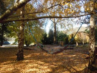 Whispering Spirit Holiday Cottages & Mini Ponies - Franklin - 5