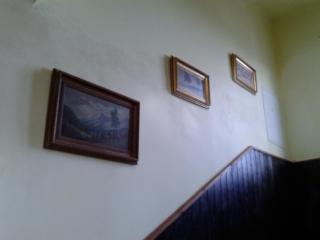 Apartmán Ella - Tábor -CZ - U stadionu míru 1735 - 6