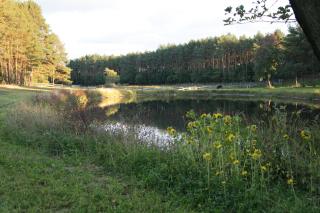 Quatro Osrodek Jezdziecki - Gospodarstwo Agroturystyczne - Pobiedziska - 8