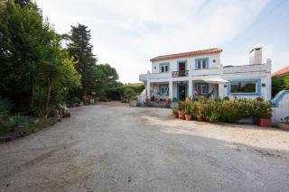 Sintra Farm Villa Guest House - Sintra - 9