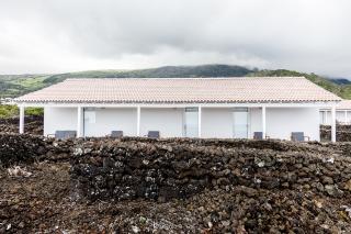 Insula Vinus Apartments - Madalena - 6