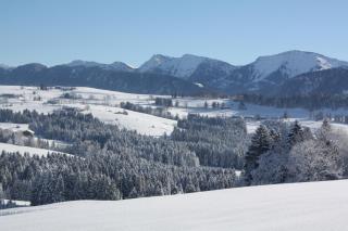 Ferienwohnung Nagelfluh Allgäu - Oberreute - 0