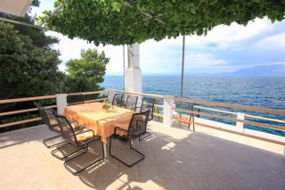 Robinson Delphinus - 0