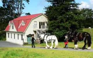 The Carriage House-Bay of Islands - Kerikeri - 0