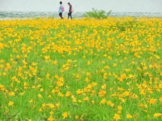 Country Inn Mori no Gorilla - Kitashiobara - 2