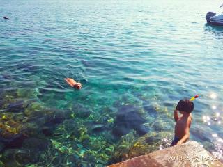 Apartmani Surjan - Vela Luka (Vallegrande) - 7