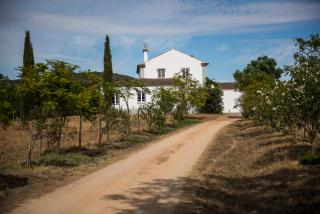 Herdade dos Alfanges "THE BARN" - 9