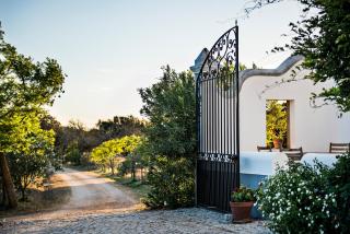 Herdade dos Alfanges "THE BARN" - 8