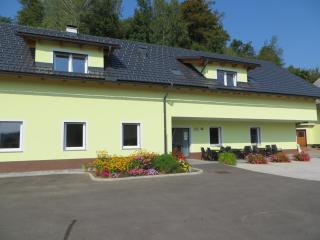 Apartment Jelovca - in the attic - Radovljica - 7