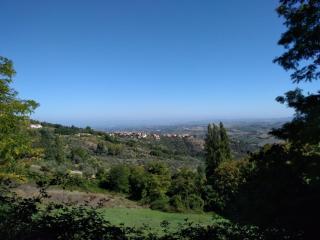 "CARA PACE" in collina - Guest House - Shared Kitchen - 4