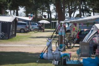 Dueodde Strand Camping - Dueodde - 3