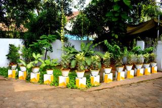 Old Park Villa - Jaffna - 4