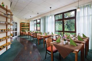 Hotel Haus Chorin - Chorin - 3