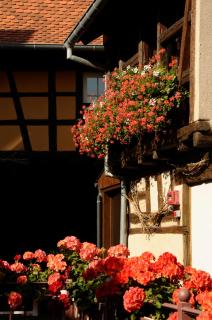 La Cour du Bailli Suites & Spa - 1